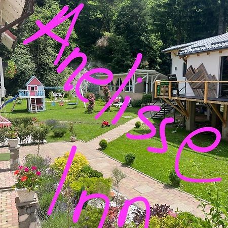 Anelisse Inn Moeciu De Sus Exterior foto