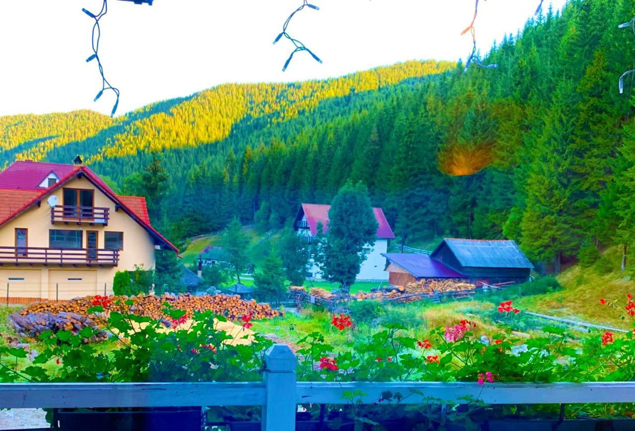 Anelisse Inn Moeciu De Sus Exterior foto